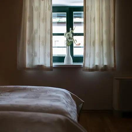 Pri Zabarju 3* Ljubljana