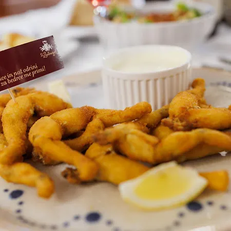 Pri Zabarju Casa de hóspedes Liubliana