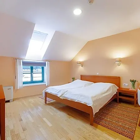 Pri Zabarju Penzion 3*