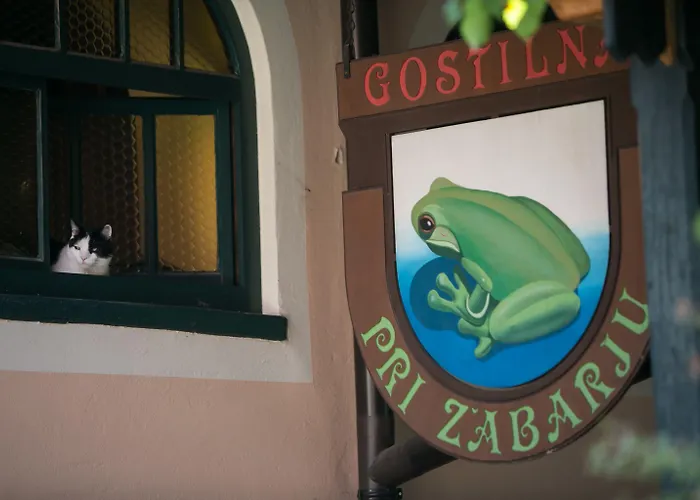 Hiša za goste Pri Zabarju