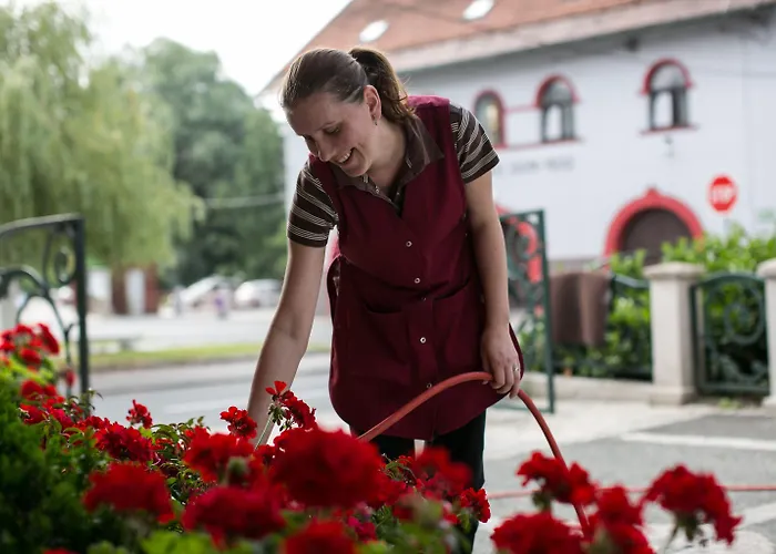 Pri Zabarju Ljubljana
