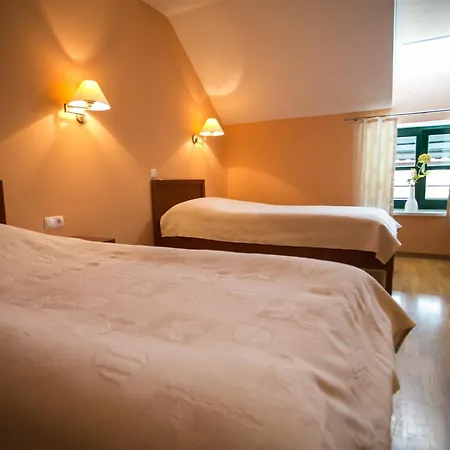 Pri žabarju 3*